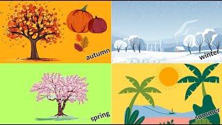 Seasons for kids | Vocabulary with sentences