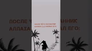 Клянусь Аллахом трусость не продлит мне жизнь, а храбрость не уменьшит ее. ”Халид ибн аль-Валид"