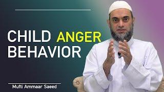 Aggressive Behavior Children Psychology Domestic Violence Angry :: Mufti Ammaar Saeed