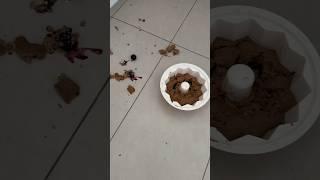 Dailyvlog |  gesunde Donuts  #dailyvlog #vlog #explorepage #explore #mamaalltag #mamaleben