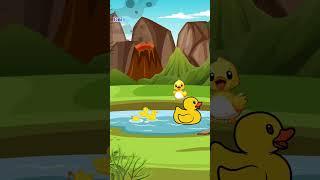 Daisy's Discoveries : Mother Duck and her adorable   | #shorts  