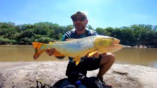I'm exploring an incredible place, fishing for dorado with lures and hiking. Urban fishing.