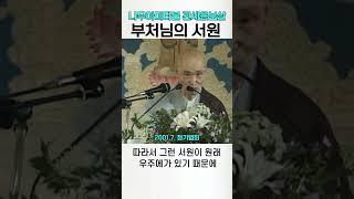 나무아미타불 관세음보살과 부처님의 서원 타력공부 #청화스님 #사홍서원