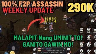 The Ragnarok F2P ASSASSIN Weekly Update : 290K FULL AGI+ASPD DPS PvE BUILD ALL YOU NEED TO KNOW