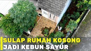 Kemandirian Pangan dari Kebun