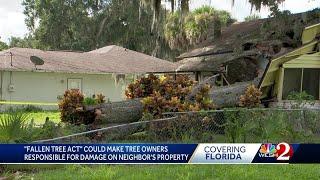 Florida bill would shift liability for damages from fallen trees onto original property owner