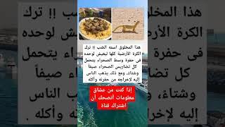 إذا كنت من عشاق معلومات أنصحك أن اشتراك قناة #viral #fypシ゚viral #cristianoronaldo