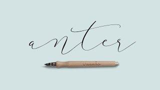 Anter Script Font Free Download