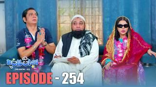 Bulbulay Season 2 Episode 254 | Comedy | Ayesha Omar & Nabeel | Momo | Mehmood Sahab