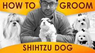 How to groom Shih Tzu dog | Shitzu grooming | SRI SAI PET WORLD