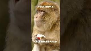 Happy Earth Day | Celebrate Nature #earthday #nature #environment