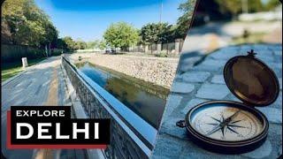 Unbelievable! A Hidden Nature Walk in Dwarka, New Delhi, India