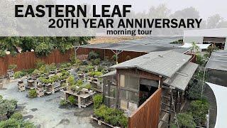 Eastern Leaf 20th Year Anniversary Opening the Nursery in the Morning