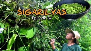 Adobong Sigarilyas (winged beans) | My simple life in province | BIAG TI AWAY | Episode 24