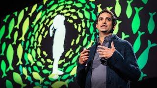 Four billion years of evolution in six minutes | Prosanta Chakrabarty