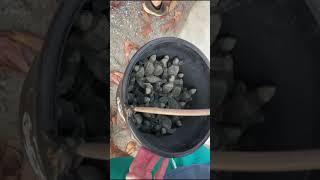 Baby Turtles in Costa Rica