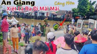 An Giang lại CĂNG ông lão 62T xiệt cá ra đi mãi mãi chỉ vì vài chục ngàn mưu sinh