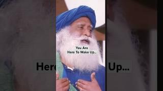 This Is What Makes Life Truly Valuable!| Sadhguru #shorts