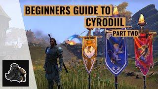 Elder Scrolls Online PvP: Beginner Guide To Cyrodiil Part Two