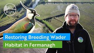 Restoring Breeding Wader Habitats in Fermanagh | RSPB NI