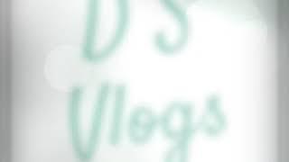 D S Vlogs