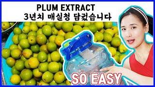 Eng)Korean Plum Extract Syrup Recipe / Maesil-Cheong(매실청) How To Make / Easy / Respect Maangchi