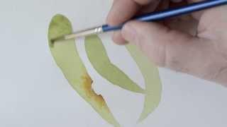 Botanical Art Tutorial - 'Tea Wash'