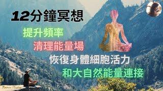 13）12分鐘引導式冥想，提升頻率，清理能量場，恢復身體細胞活力，並加深和大自然能量的連接