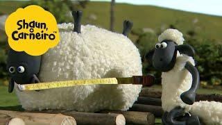 Shaun, o Carneiro [Shaun the Sheep] Medir ovelhas  Hora Especial| Cartoons Para Crianças