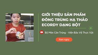 Giới thiệu sản phẩm đông trùng hạ thảo Ecordy Viện Bảo vệ thực vật dạng bột