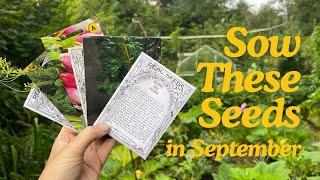 Seeds to Sow in September - Grow Homegrown Food Year Round