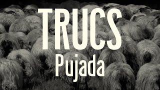 TRUCS - Pujada