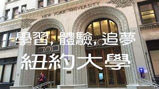 紐約大學介紹