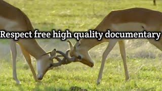 free high quality documentary channel