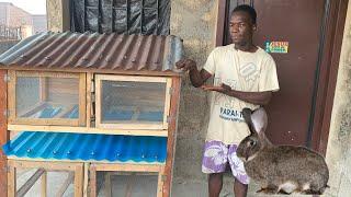 How to make rabbit cage at home using wood and iron net || easy rabbit cage making