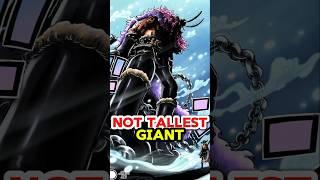 Loki is not the tallest giant #shorts #onepiece