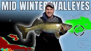 Mid-Winter Walleye Tips  (CRAZY Action!)