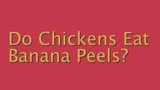 Do chickens eat banana peels?