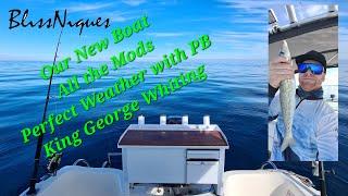 Our New Boat, Mods, Perfect Weather with a PB King George Whiting, Ep.15 BlissNiques