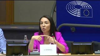 Ana-Claudia Tapardel (CCO of #Ariva) - European Parliament in the #Transport and #Tourism Committee