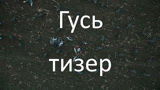 Славная Охота - на гуся (Тизер)