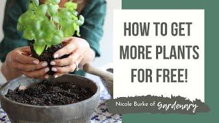 How to Get More Plants for Free!