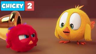 Where's Chicky? Funny Chicky 2021 | POYO IS MAD | Chicky Cartoon in English for Kids