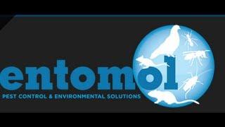 Entomol | Pest Control & Environmental Control