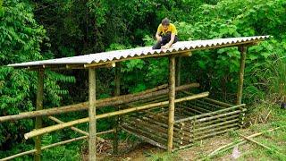 Complete the coop. Will Ly Tu Linh's chickens be safe from wild animals in the forest?.