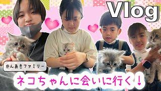 Vlogかんあきファミリーついにネコちゃんを飼う！？