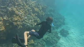 Olowalu Snorkeling Adventure in Maui