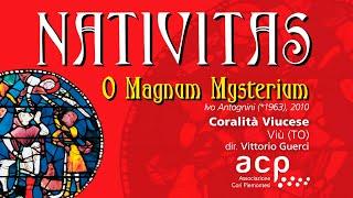 Coralità Viucese, O Magnum mysterium