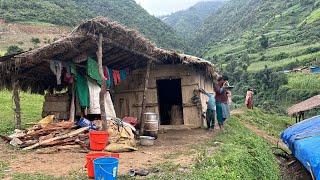 Monsoon Struggles in Nepal's Himalayan || Real Life in Dolpa Nepal I Compilation of yarsha hunting