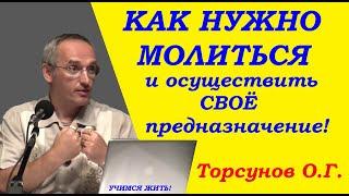 Торсунов О.Г. Как нужно молиться и осуществить своё предназначение. Учимся жить.